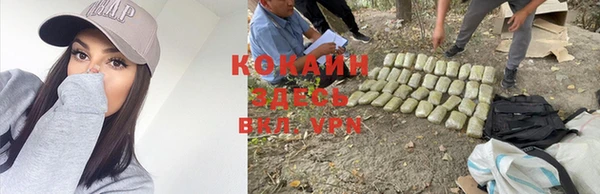 дурь Арсеньев