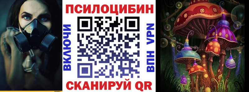 Псилоцибиновые грибы Magic Shrooms  Купить где  Любим 
